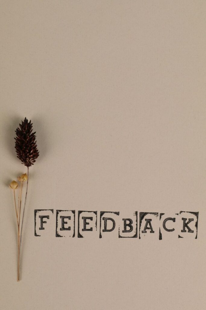 A minimalist concept with the word 'Feedback' and natural elements on a neutral background.